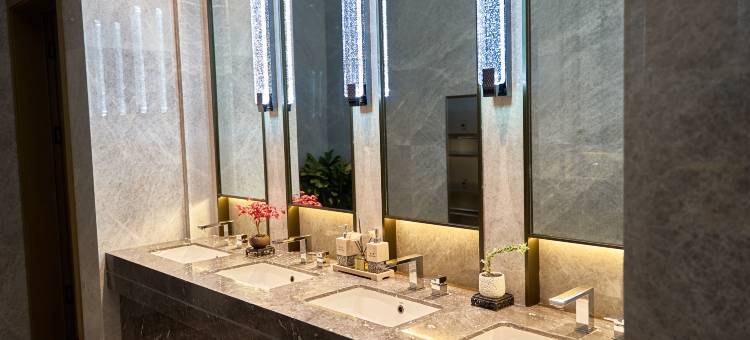 新光大酒店图片