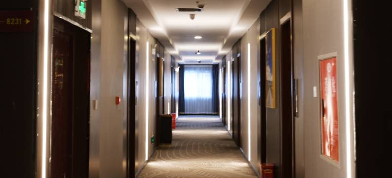 林芝风情大酒店图片