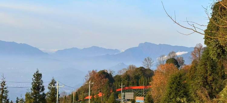 蒙顶山且守云归民宿图片