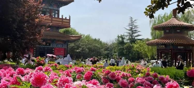 瑞莱悦旅酒店(洛阳火车站地铁站店)图片