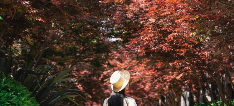 丽江金林豪生大酒店(古城区店)图片