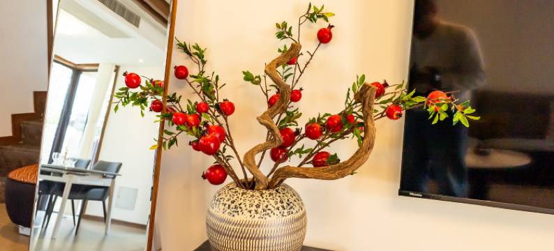 中南湾舒歌别院图片