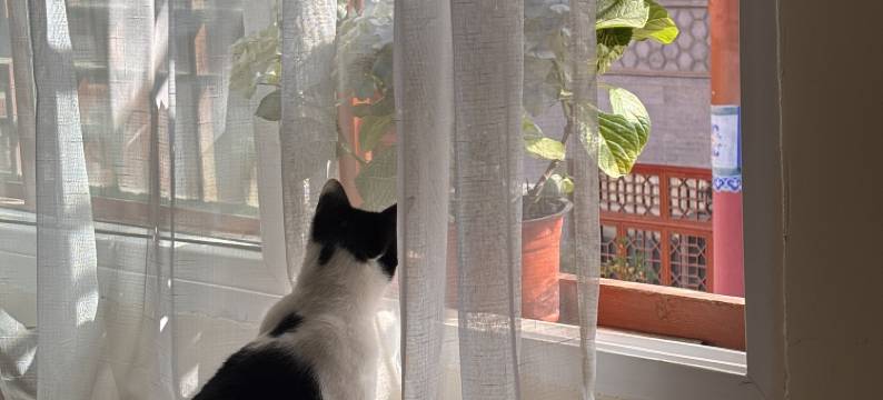 小森林青年旅舍图片