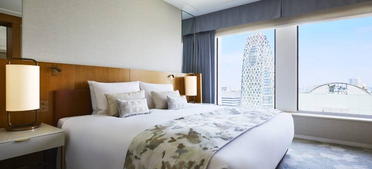 东京京王广场尊贵大酒店(Keio Plaza Hotel Tokyo Premier Grand)图片