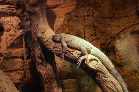 厦门集美湖豪生大酒店图片