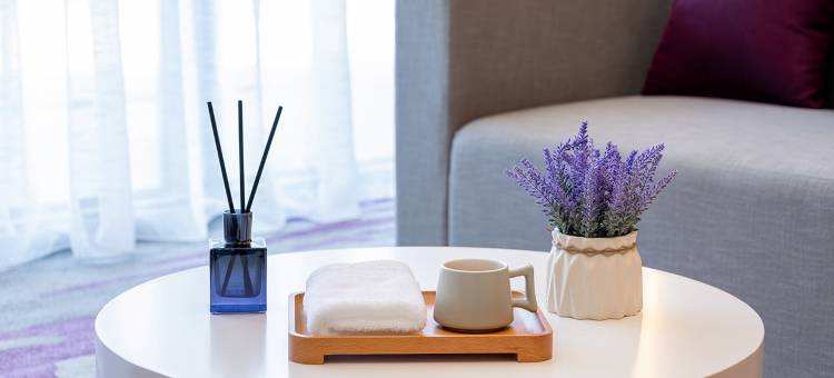 麗枫酒店(西安汉城湖红庙坡地铁站店)图片