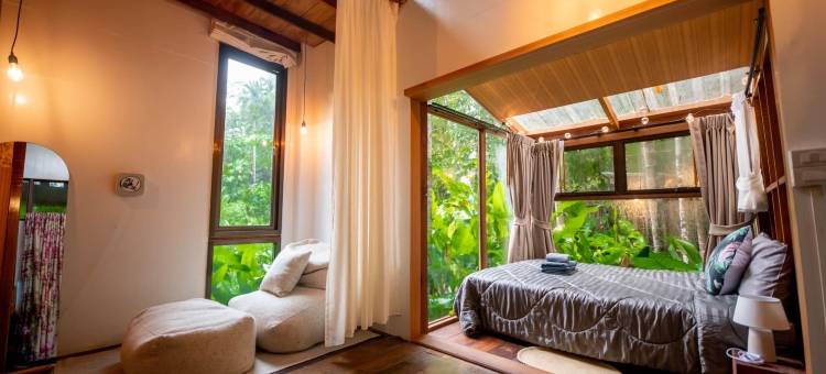 班奈蒙树屋(Bannaimong Treehouse)图片