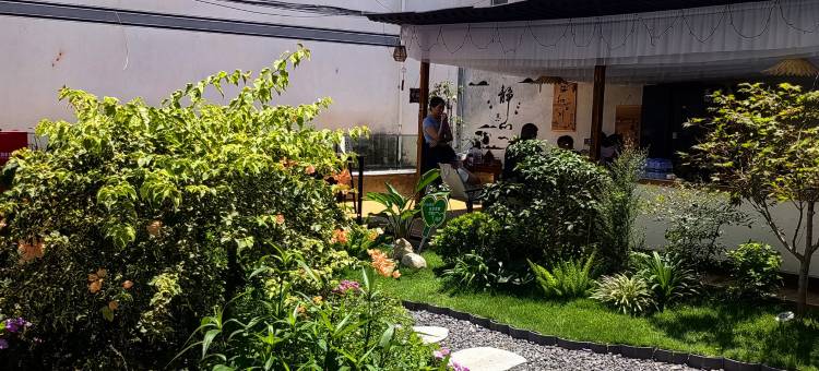 大理雨宿·观山临海花园美宿(洱海S湾生态廊道店)图片