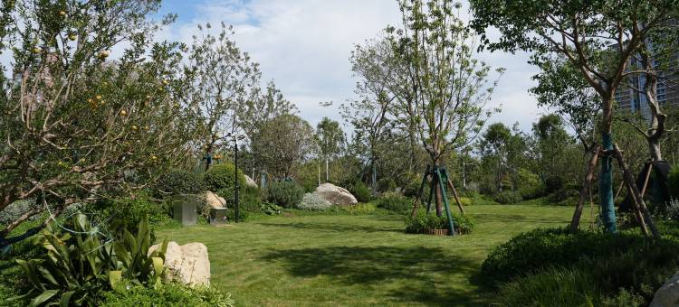 西安浐灞凯悦酒店图片