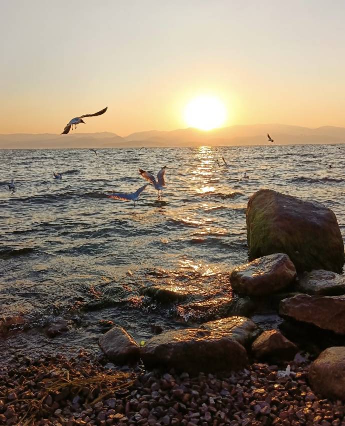 大理市梦涛安然客栈(才村码头洱海店)图片