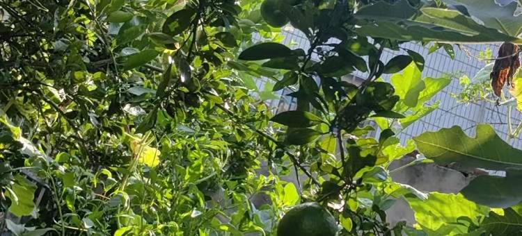 漫走公寓(杭州西湖店)图片