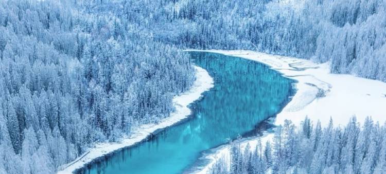 大菠萝山野派对｜中古法式雪山观景度假民宿(喀纳斯景区店)图片