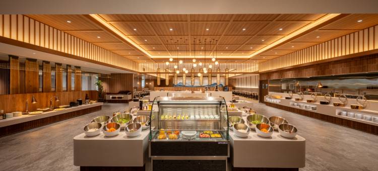 雾岛脉动(THE PULSE KIRISHIMA)图片