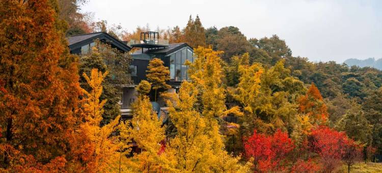 青城山素喜青山森林民宿图片