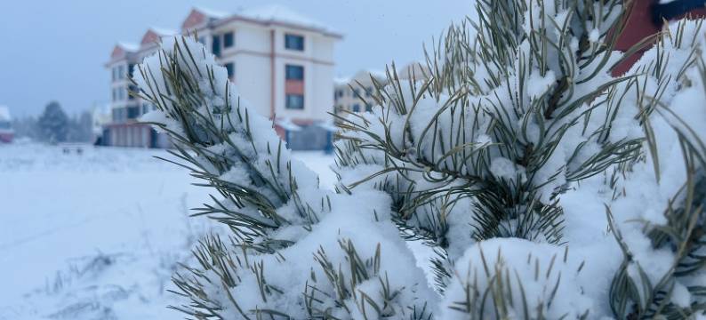 岭居·民宿(北极村店)图片