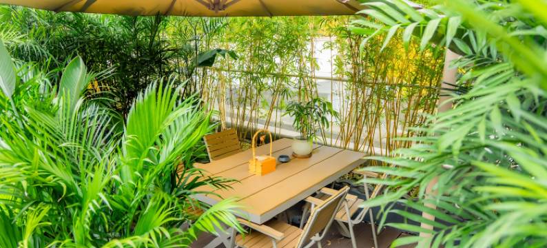 宜宾拾舍·竹里馆(宜宾西站店)图片