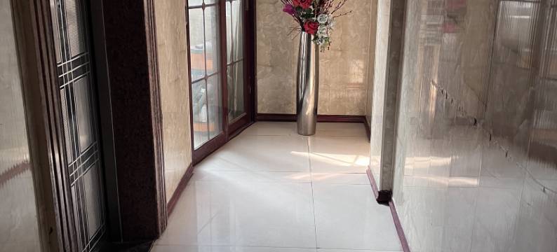 百色雅莱丽酒店图片