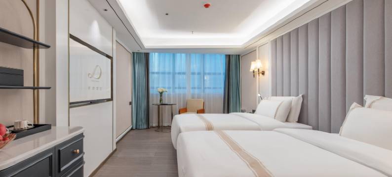 深圳罗湖口岸向西村地铁站希岸Deluxe酒店图片