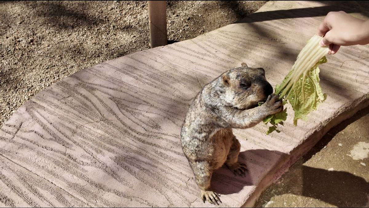 铁力逍遥八仙湖酒店图片