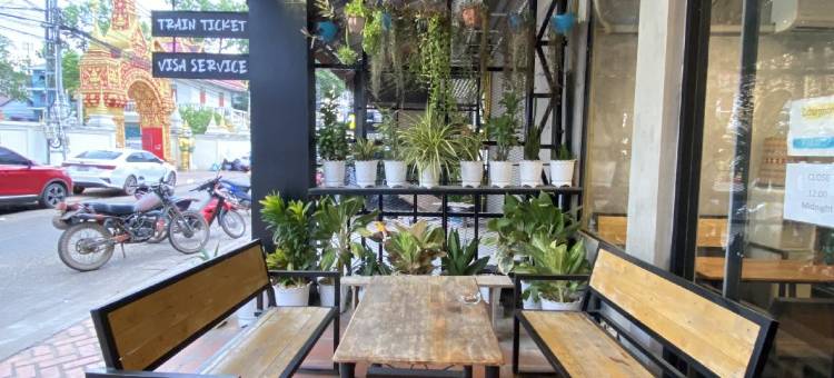 时髦猴咖啡馆及青年旅馆(Funky Monkey Cafe & Hostel)图片