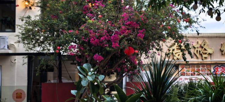 圈圈里·花园度假MUSICAT美宿(较场尾大鹏所城店)图片