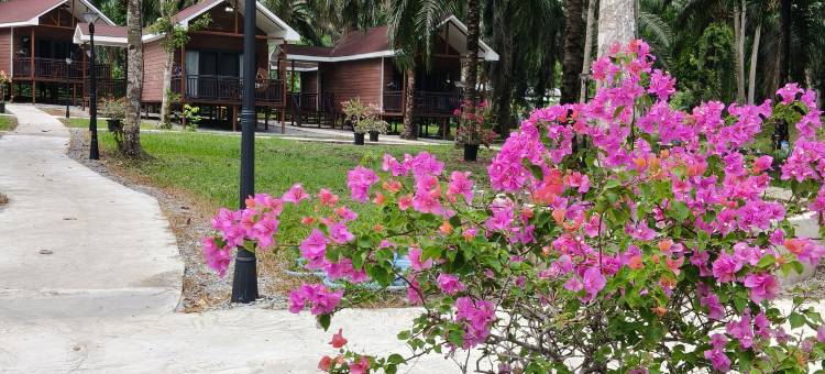 棕榈湖度假村(中文管家服务+免费仙本那镇上/码头接送班车)(Palm Lake Resort)图片