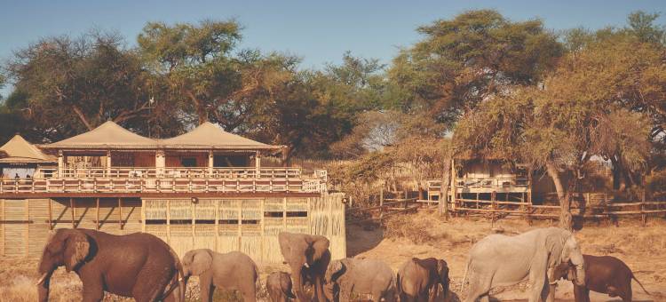 萨武蒂大象山林小屋(Savute Elephant Lodge)图片