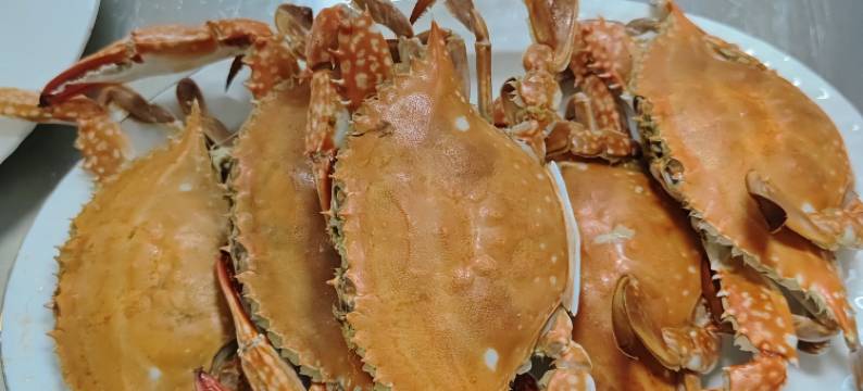 日照德安宾馆(第三海水浴场店)图片