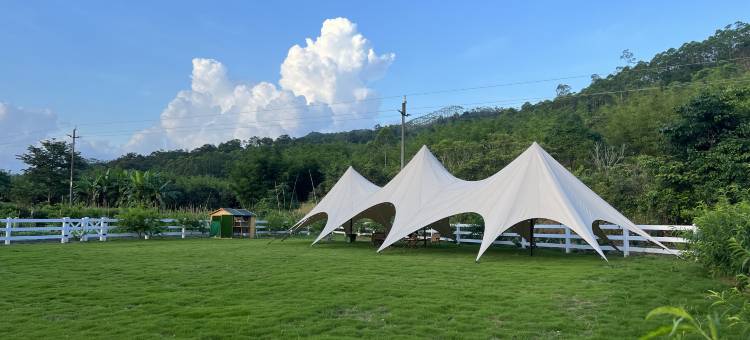 龙门南昆山菲斯美学民宿图片