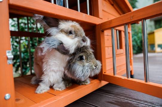 济南舜耕山庄图片