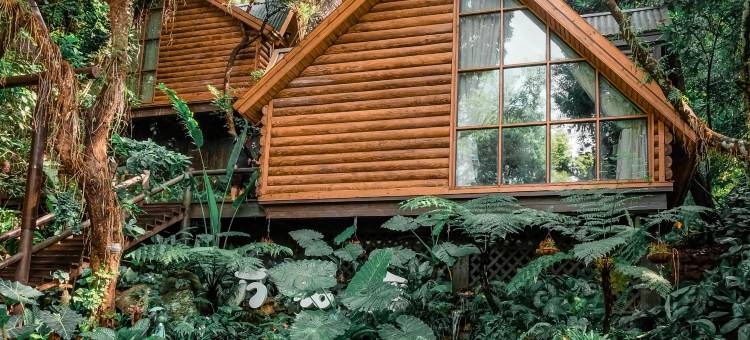 方诺寨·雨林生态庄园图片