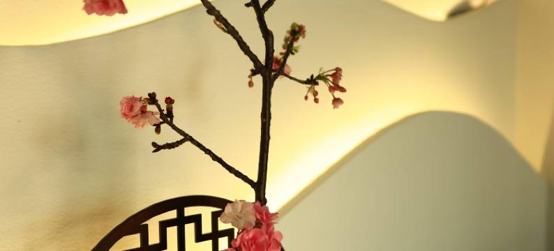 大理栎社客栈图片