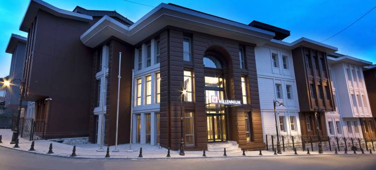 伊斯坦布尔千禧金角酒店(Millennium Istanbul Golden Horn)图片