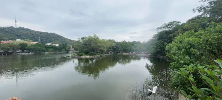 轻风·美宿(饶平黄冈店)图片