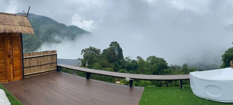 塌吗茶(Tham ma chard)图片