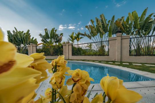 西双版纳景洪无冬酒店(嘎洒机场高铁站店)图片