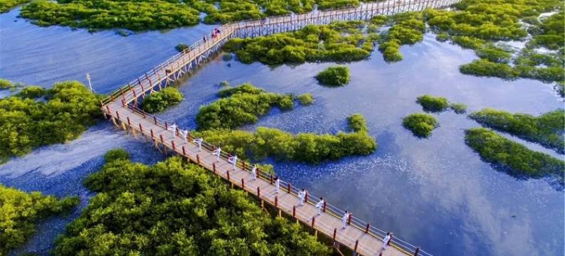 北海银滩苹果酒店图片