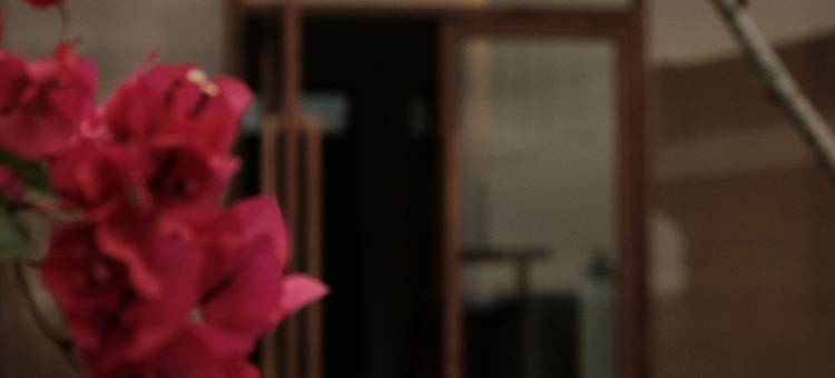 霞浦草木人茶宿图片