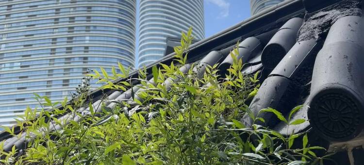 花筑·喜客民宿(徐州市中心苏宁广场店)图片