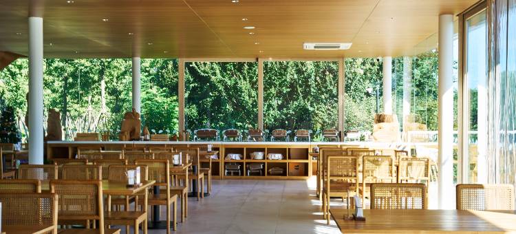 嘉兴飞鸟集丨万棵银杏·千亩湖域·宠物友好·音乐现场·度假民宿图片