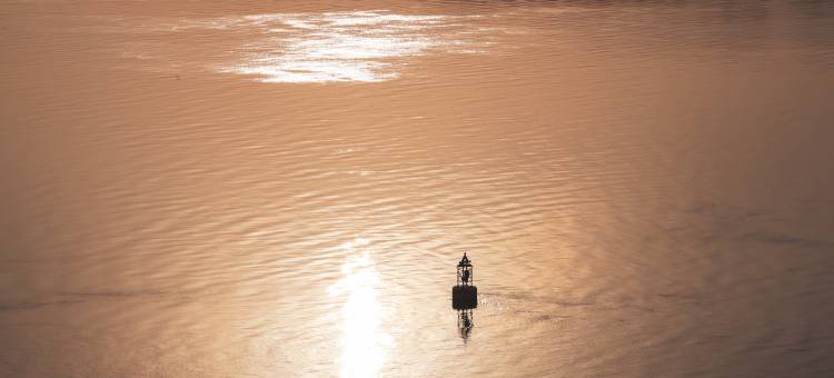 南京世茂滨江希尔顿酒店图片