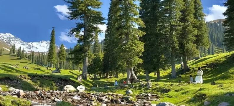 那拉提语畔民宿图片