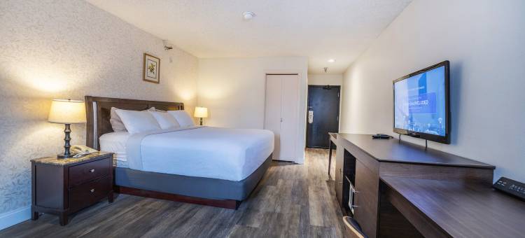 国际酒店(Hotel International)图片