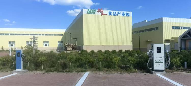 多仑玖号营图片