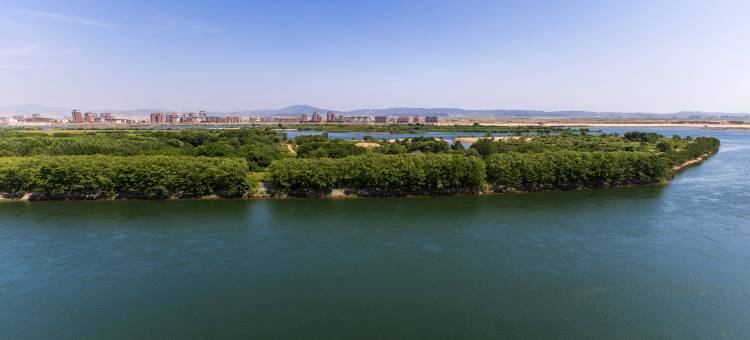 丹东珍珠岛江畔酒店(志愿军公园店)图片