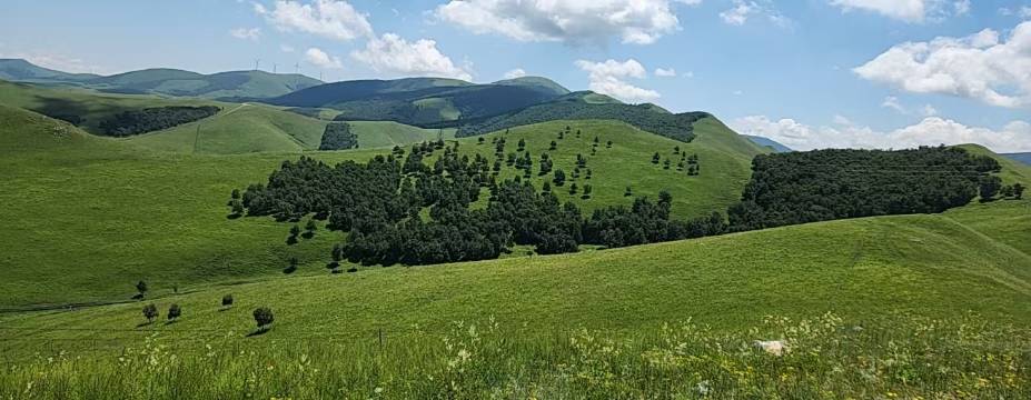 云上8号·山景轻奢度假美宿(丰宁大滩镇)图片