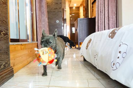 天津光合谷温泉度假酒店图片