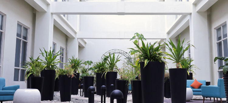 MCollection - Private Rooms in Historic Manila Chinatown图片