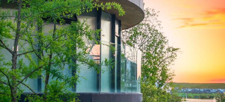 太仓七十二家村树蛙部落图片