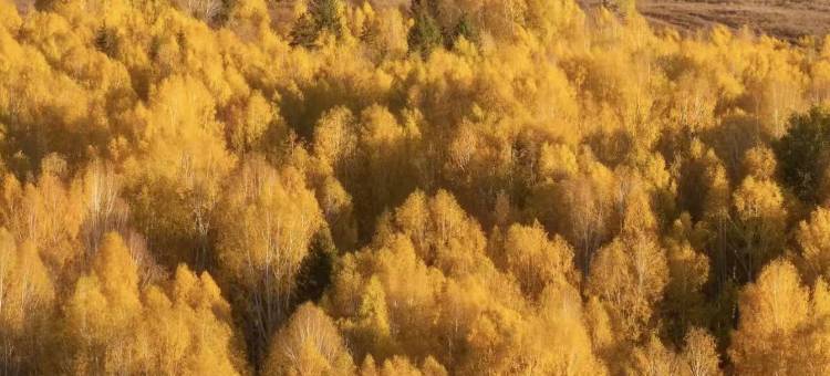 布尔津叁旬·观景酒店图片